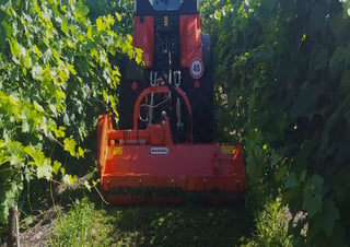 агрегати для мульчування Maschio Furba 160