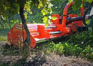 агрегати для мульчування Maschio Furba 160