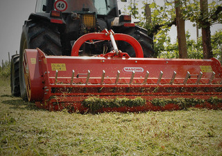 агрегати для мульчування Maschio Tigre 250