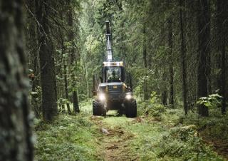 лісозаготівельне обладнання Форвардери Ponsse Bison