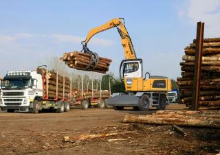 Екскаватори для перевалки Liebherr LH 60 M Timber Litronic