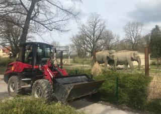Колісні навантажувачі Yanmar V80
