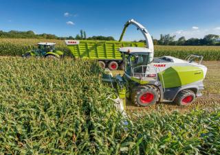 Кормозбиральні комбайни 4-силові Claas Jaguar 870