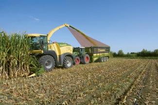 Кормозбиральні комбайни 4-силові Krone BIG X 480