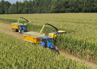 Кормозбиральні комбайни 4-силові New Holland FR 650 
