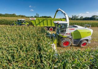 Кормозбиральні комбайни 4-силові Claas Jaguar 870