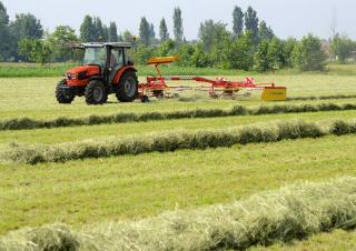 Транспортні засоби Муніципальні трактори DEUTZ-FAHR Agrokid 230