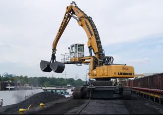 Екскаватори для перевалки Liebherr ER 954 C Litronic
