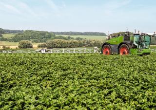 Самохідні польові обприскувачі Fendt Rogator 655