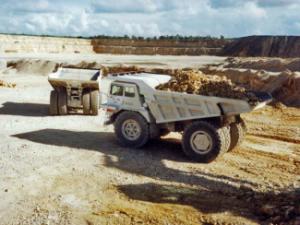 Самоскиди із жорсткою рамою Perlini DP 905 WD