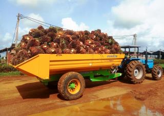 Транспортні технології Самоскиди Joskin TRANS-PALM 4500/7C65