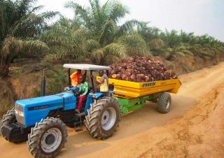 Транспортні технології Самоскиди Joskin TRANS-PALM 5000/7C65