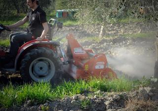Силові борони Maschio W 125