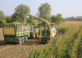 Спрощені причепи для силосу Krone TX 460 