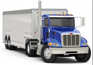 Вантажівки стійке шасі Peterbilt 337 PACCAR PX-9
