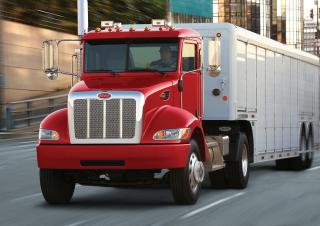 Вантажівки стійке шасі Peterbilt 337 PACCAR PX-9