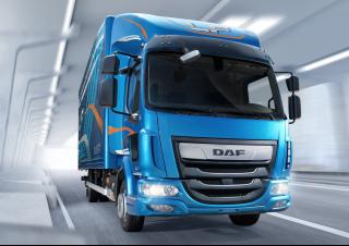 Вантажівки стійке шасі DAF LF 180 FA 12t