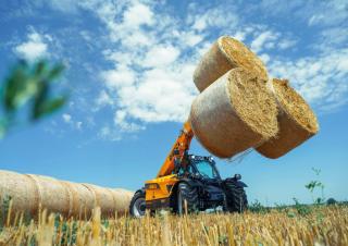 Телескопічні навантажувачі Dieci Agri Farmer 30.9 GD