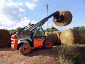 Телескопічні навантажувачі Ausa T 204 H