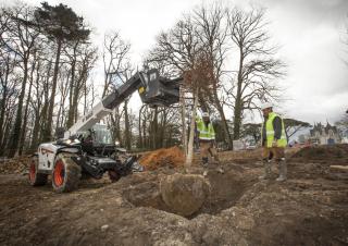 Телескопічні навантажувачі Bobcat T36.120SL 75 IV