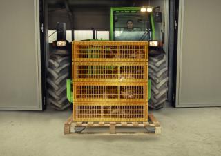 Телескопічні навантажувачі Merlo TF 30.9-115 L
