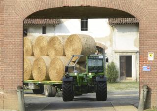 Телескопічні навантажувачі Merlo TF 50.8 T-CS-156-CVTRONIC