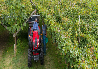 Трактори 4WD Valtra F95S