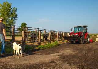 Трактори 4WD Massey Ferguson MF 1740 M