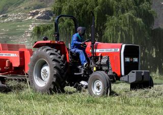 Трактори 4WD Massey Ferguson MF 290 Xtra