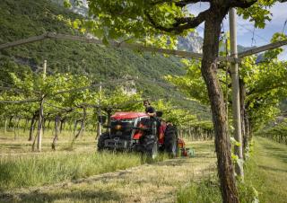 Трактори 4WD Massey Ferguson MF 3GE.105 
