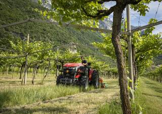 Трактори 4WD Massey Ferguson MF 3GE.75 