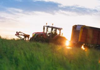 Трактори 4WD Massey Ferguson MF 8S.305 