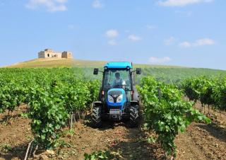 Трактори 4WD Landini Rex DT 4-090F