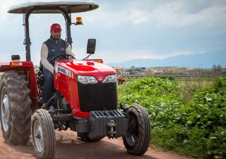 Трактори з заднім приводом Massey Ferguson MF 2635