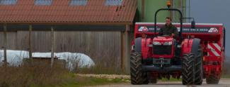 Трактори з заднім приводом Massey Ferguson MF 3650 A