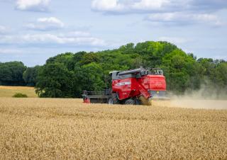 Зерновий комбайн Massey Ferguson Activa 7342