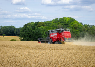 Зерновий комбайн Massey Ferguson Activa 7342-MCS