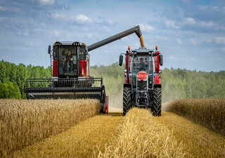 Зерновий комбайн Massey Ferguson Activa 7344