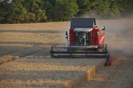 Зерновий комбайн Massey Ferguson Activa 7345 S