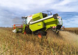 Зерновий комбайн Claas Avero 240