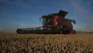 Зерновий комбайн Case IH Axial Flow 8120
