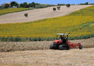 Зерновий комбайн DEUTZ-FAHR C 7205 Farmline