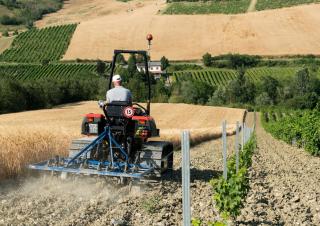 Зерновий комбайн DEUTZ-FAHR C 7206 TS Farmline Extra Power
