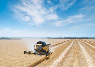 Зерновий комбайн New Holland CX 6090 Elevation
