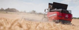 Зерновий комбайн Massey Ferguson Delta 9380 AL