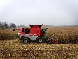 Зерновий комбайн Massey Ferguson Fortia 9695