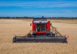 Зерновий комбайн Massey Ferguson MF 4690