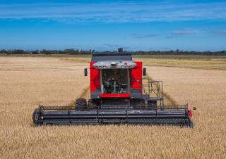 Зерновий комбайн Massey Ferguson MF 5690