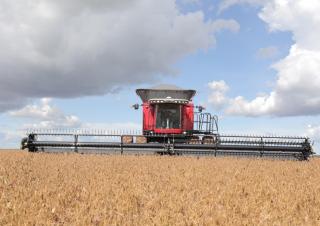Зерновий комбайн Massey Ferguson MF 9795