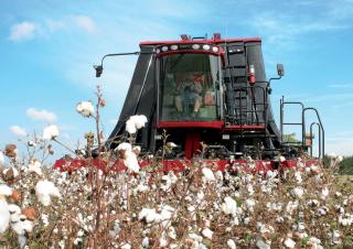 Зерновий комбайн Case IH Module Express 635